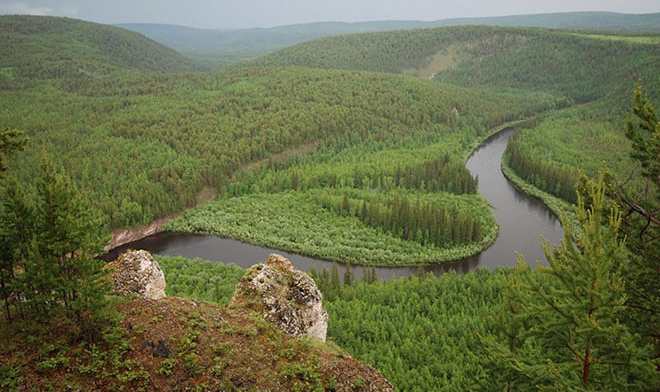 МТС поможет найти заблудившихся в лесу людей