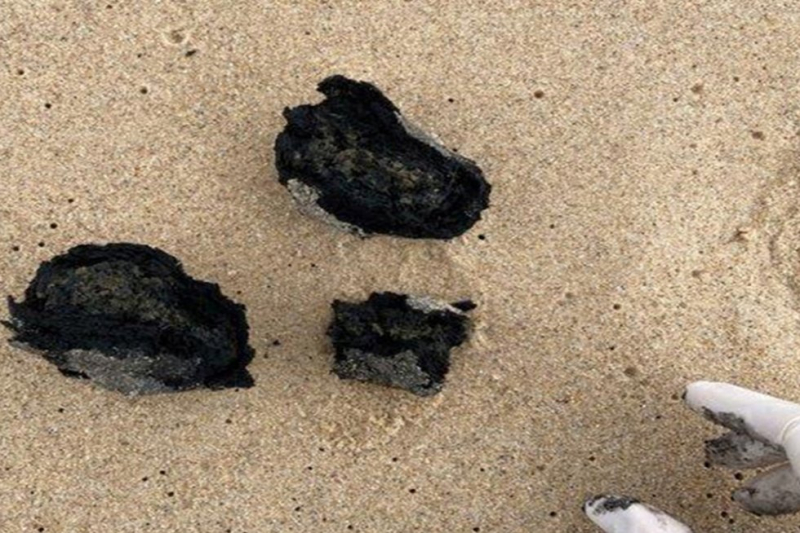 Искусственный интеллект оказался иллюзией