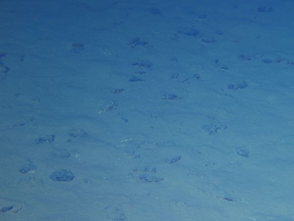 На дне Марианской впадины нашли таинственные наноструктуры: генерируют энергию