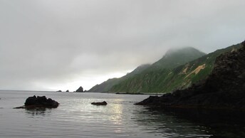 В акватории Курил обнаружили не менее 10 новых видов морских червей