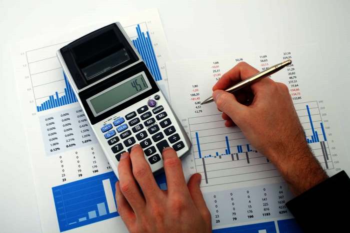 Дистанционное обучение: особенности и основные преимущества процесса