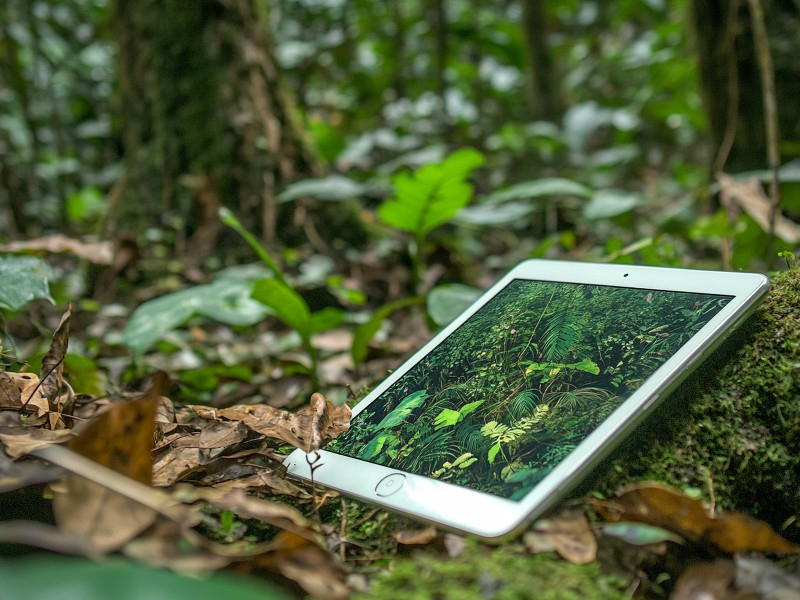 Переход с Лес ЕГАИС на ФГИС ЛК: новые требования и изменения в лесной отрасли России