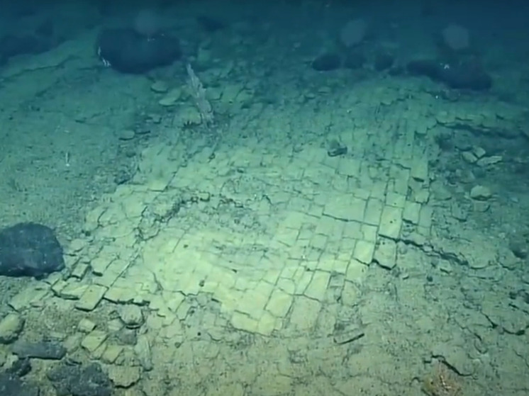 Ученые обнаружили «дорогу из желтого кирпича» на дне Тихого океана