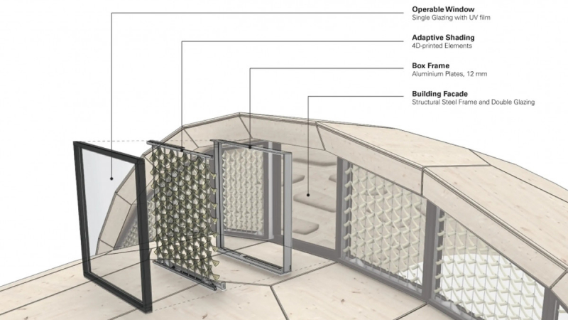 Чешуйки стеклянных шишек помогли создать самозатемняющиеся окна без затрат энергии