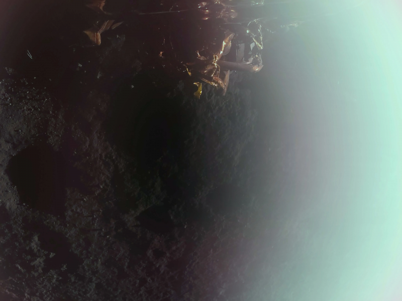 Космический аппарат Blue Ghost передал первую фотографию после посадки на Луну