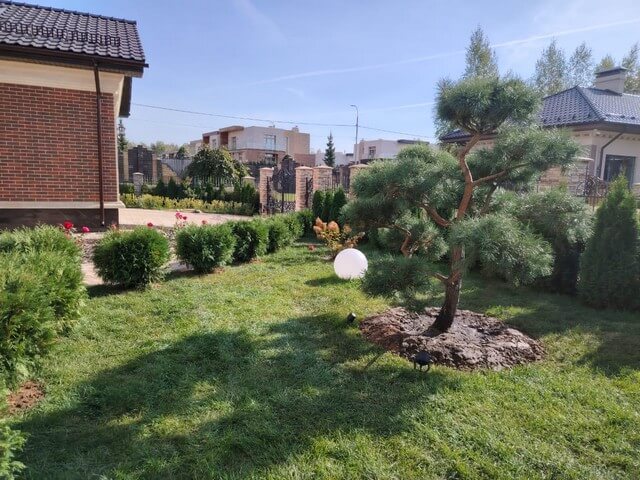 Ландшафтный дизайн в Москве — Русский парк