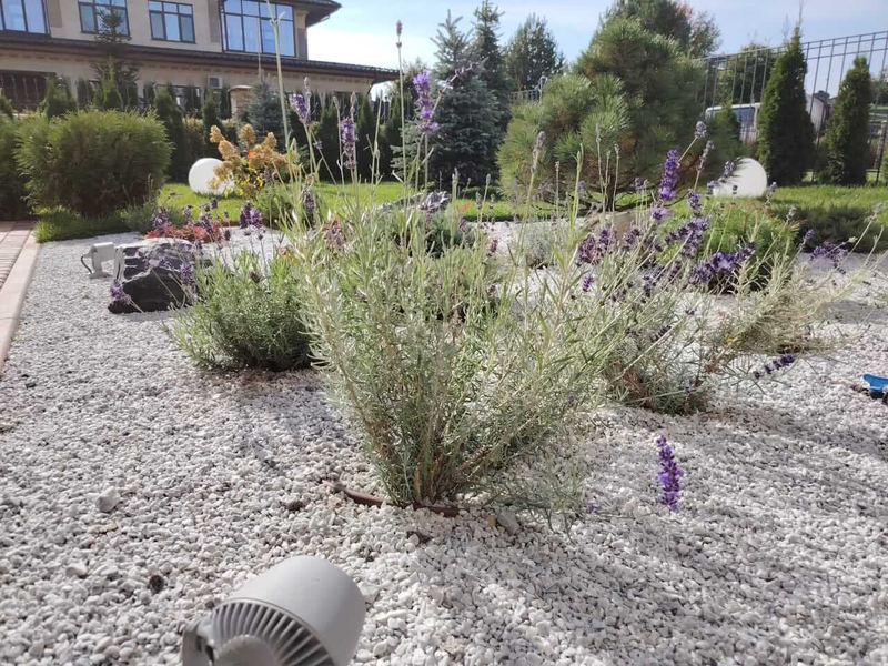 Ландшафтный дизайн в Москве — Русский парк