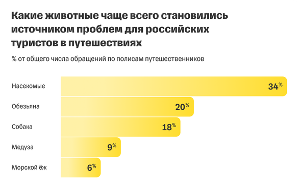 Насекомые и обезьяны — самые опасные животные для российских туристов — исследование