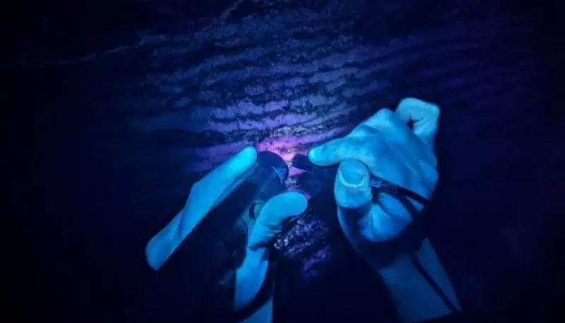 О чем рассказали ученым удивительные флуоресцентные пещеры