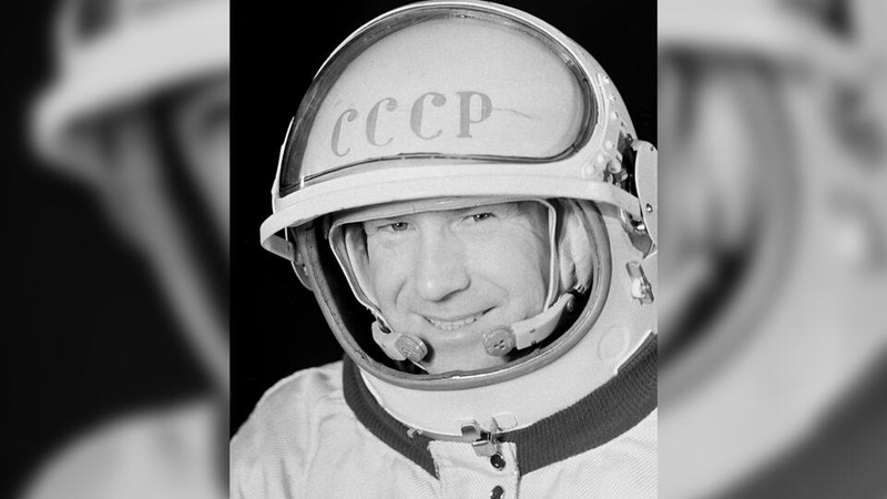 Почему птицы умирают в невесомости, а кошки чувствуют себя прекрасно