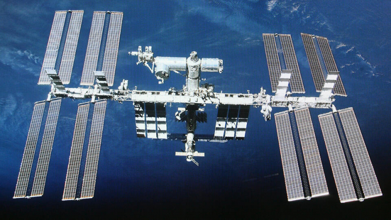 Почему птицы умирают в невесомости, а кошки чувствуют себя прекрасно