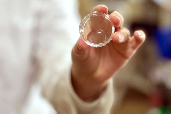 Российские ученые смогли увеличить микроскопических морских животных в пять раз