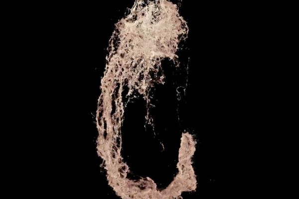 Ученые научились получать «фото» организмов изнутри