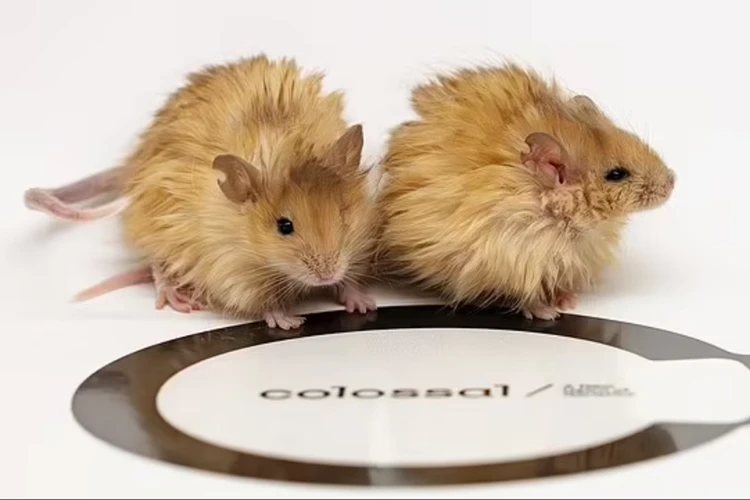 Воскрешая мамонтов: в США вывели мышей с шерстью вымерших млекопитающих