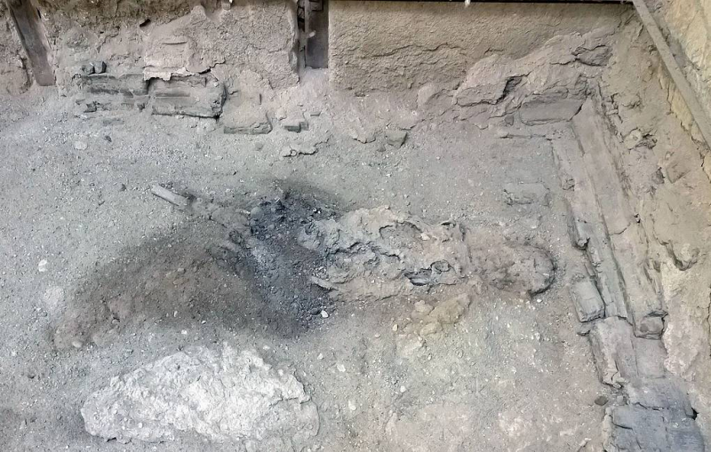 Выявлен механизм превращения мозга жертвы извержения Везувия в стекло