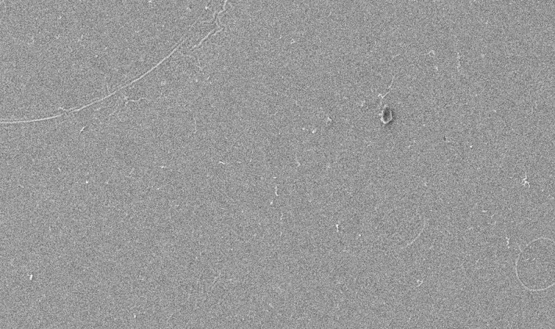 Краска-убийца уничтожает 100 % бактерий при контакте