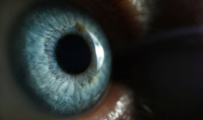 Ученые открыли новый цвет, который прежде никто не видел