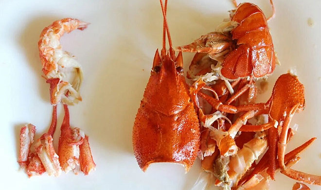 В Сибири предложили производить биополимеры из раков