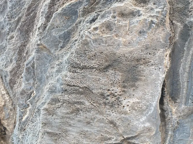 Возможно, в мраморе и известняке живут древние микробы, которые едят камни