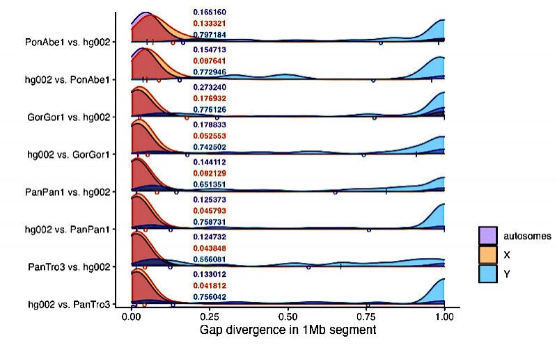 Новый «полный» геном шимпанзе показывает разницу в 14,9% с человеческим геномом