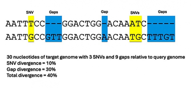 Новый «полный» геном шимпанзе показывает разницу в 14,9% с человеческим геномом