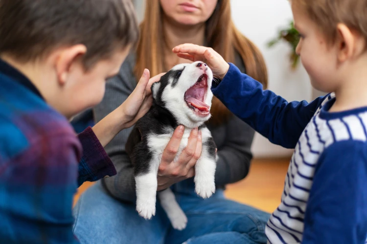 Ученые раскрыли секрет заразительной зевоты