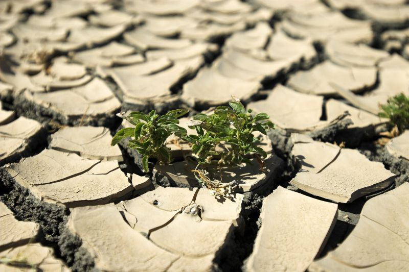 Ученые выявили скрытые угрозы жары и наводнений