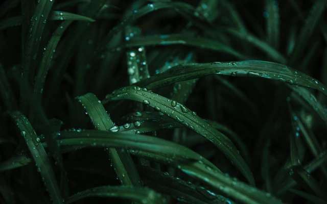 Ученым в Китае удалось увеличить количество осадков