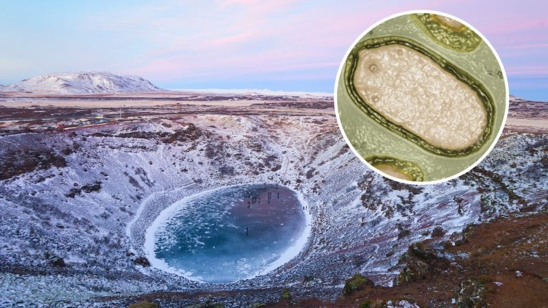 В Гренландии ожил древний вирус, бывший замороженным 50.000 лет