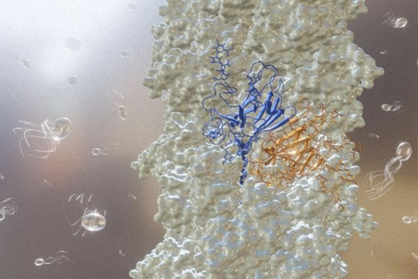 Земной эксперимент дал ученым надежду найти жизнь в системе Сатурна