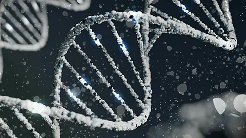 Эксперт Полуновский: анализ ДНК 1 млрд человек позволит выявлять риски до рождения