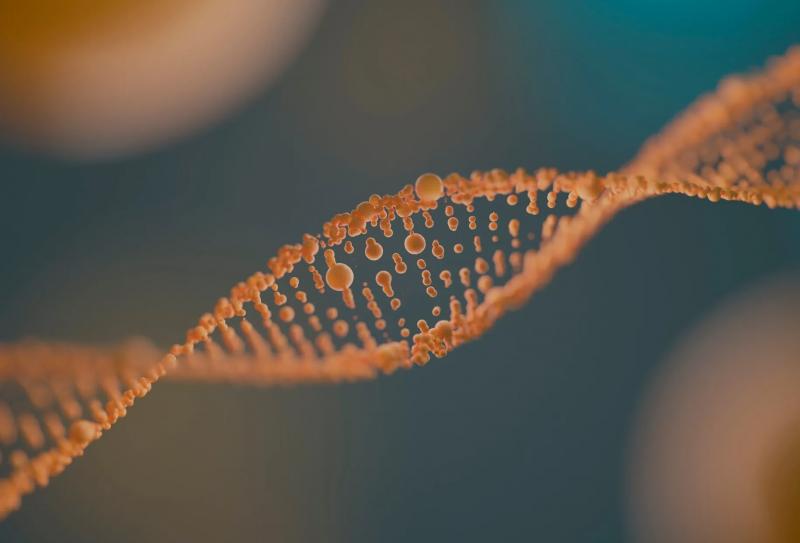 Создание жизни в лаборатории: ученые синтезируют человеческую ДНК с нуля