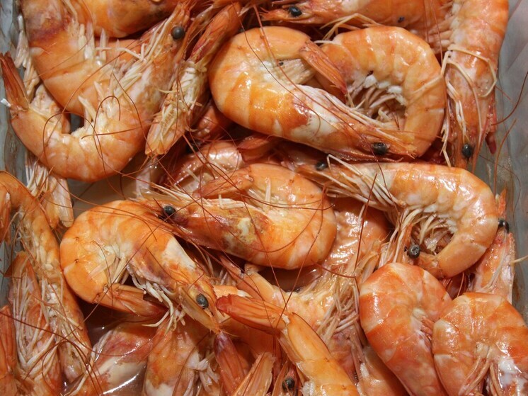 Ученые нашли причину смертельных инфекций в популярных морепродуктах