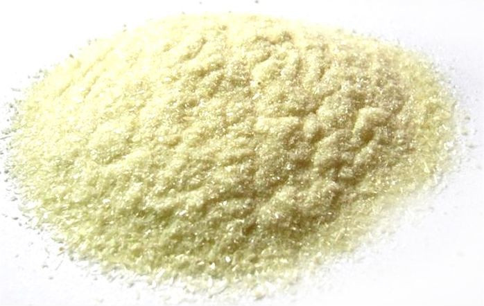 В Тольятти возведут завод по производству ксантановой камеди