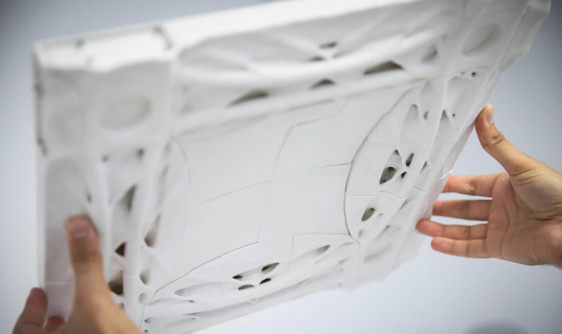 Древние ископаемые подали ученым идею суперпрочного биобетона