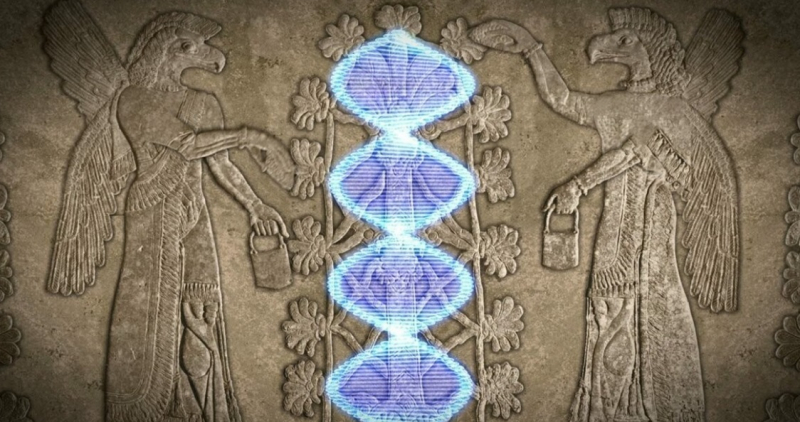 Древняя вирусная ДНК в организме человека влияет на экспрессию генов