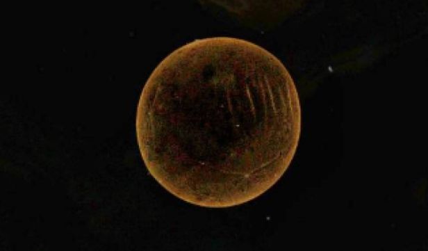 Новый китайский зонд показал мир планктона в беспрецедентных деталях