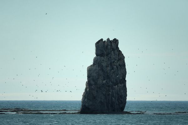 Ученые зафиксировали рост радиоактивности на Новой Земле