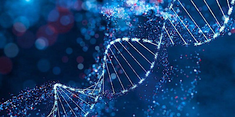 Гены спячки: скрытые