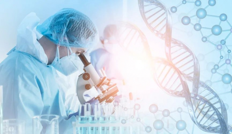 Полный геном вируса «испанского» гриппа из Европы воссоздали ученые