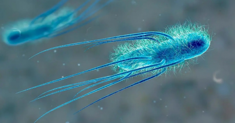 Ученые создали в лаборатории новую, «более совершенную» форму жизни