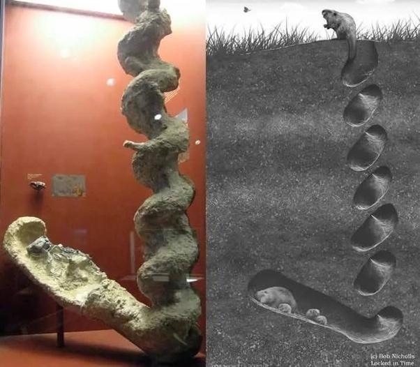 «Винты дьявола»