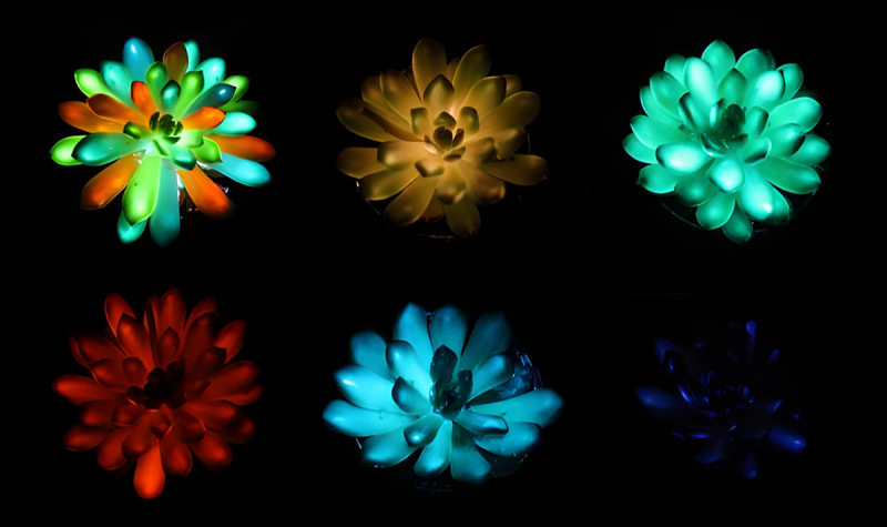 Инъекции фосфора позволят превратить любое растение в живой светильник