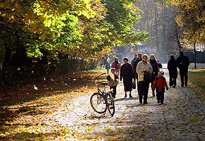 Погода бьет рекорды?