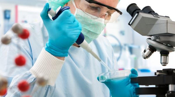 Российские ученые нашли способ защитить иммунные клетки от гибели