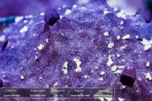 Ученые нашли химические следы возможных первых животных на Земле