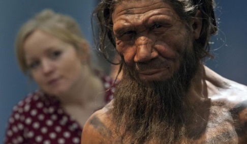 Генетическое поглощение: неандертальцы не вымерли, они растворились в нас
