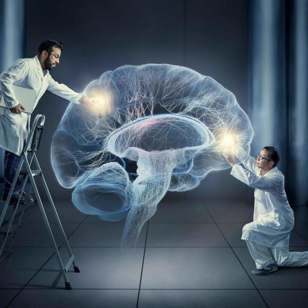 Ученые научились внедрять ложные воспоминания