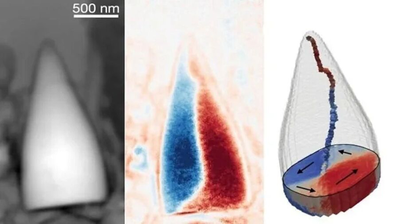Ученые обнаружили древние магнитные окаменелости неизвестного существа, которое использовало встроенный GPS