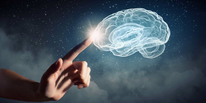 Врождённое знание: Мозг младенца уже содержит инструкции по пониманию мира